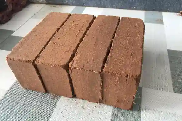 650g Coco Peat Briquette view 3
